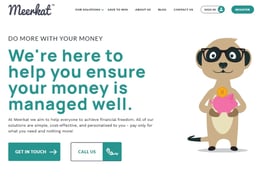 Meerkat Debt review