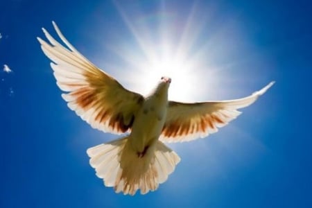 Help Get Out of Debt in South Africa