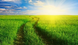 Which Is the Best Loan Company in South Africa?