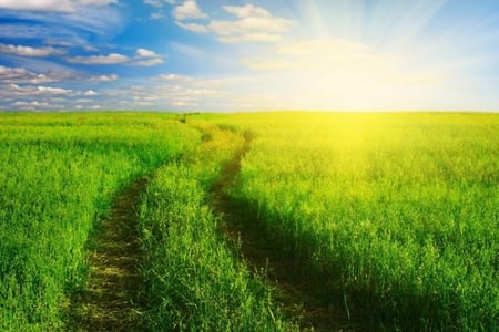 Which Is the Best Loan Company in South Africa?