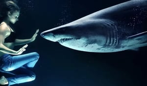 Beware the teeth of Loan sharks in South Africa